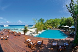 Maldives scuba diving holiday - Eriyadu Island Resort. Swimming pool and bar.